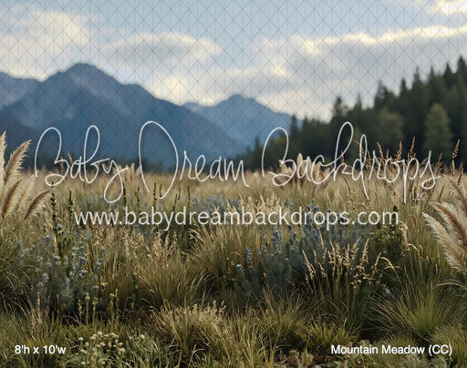 Mountain Meadow (CC)