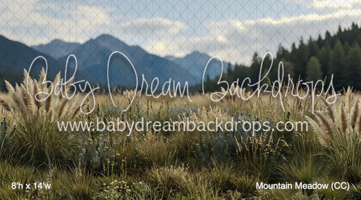 Mountain Meadow (CC)