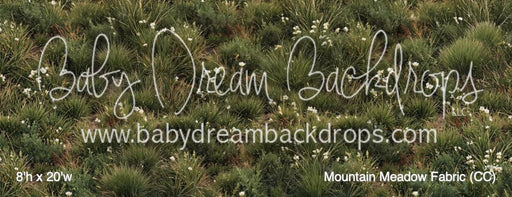 Mountain Meadow Fabric (CC)