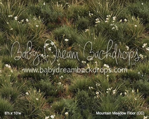 Mountain Meadow Floor (CC)
