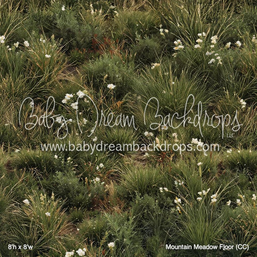 Mountain Meadow Floor (CC)