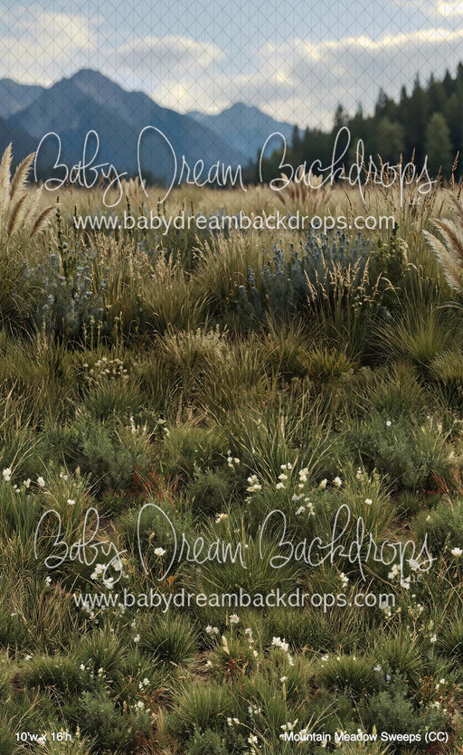 Mountain Meadow Sweeps (CC)