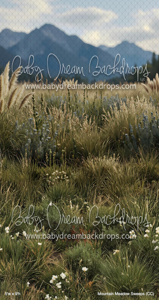 Mountain Meadow Sweeps (CC)