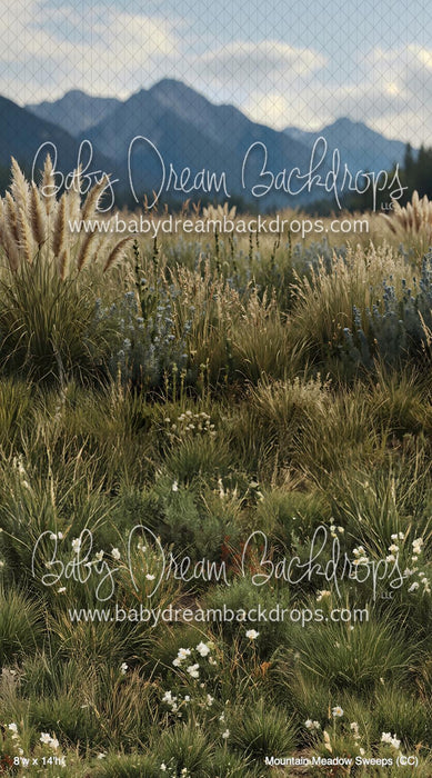 Mountain Meadow Sweeps (CC)