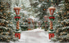 Mrs. Claus Cottage Path (JA)