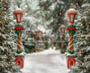 Mrs. Claus Cottage Path (JA)