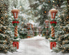 Mrs. Claus Cottage Path (JA)