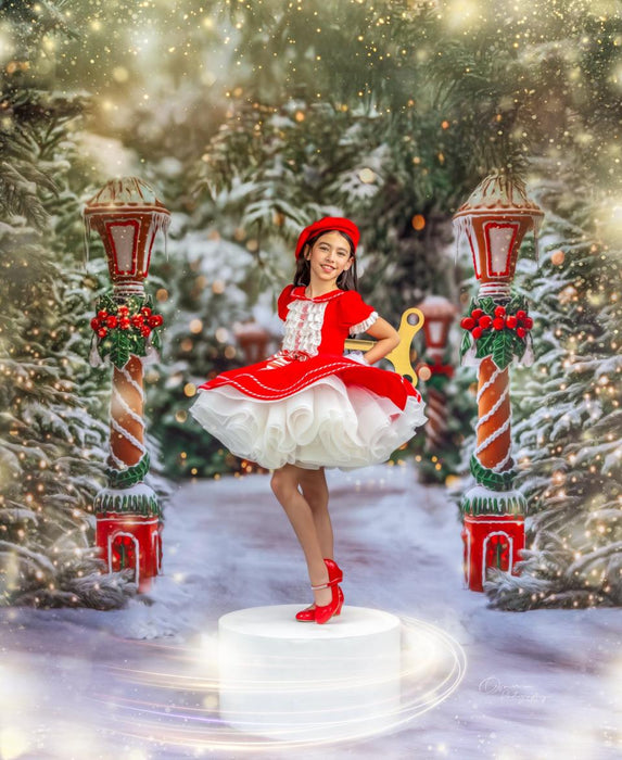 Mrs. Claus Cottage Path (JA)