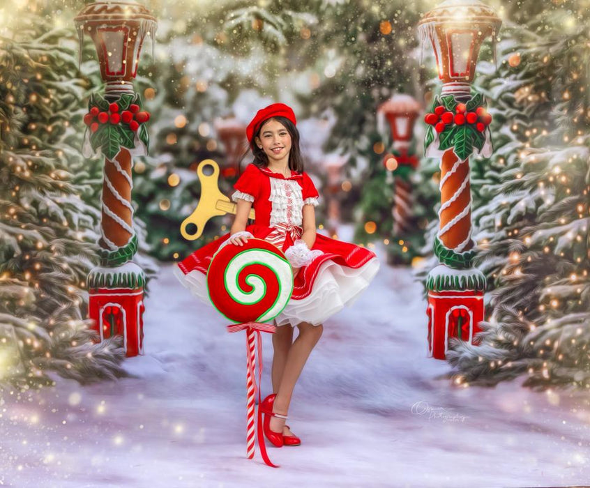 Mrs. Claus Cottage Path (JA)