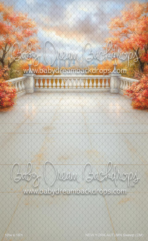 NEW YORK AUTUMN Sweep (CM)