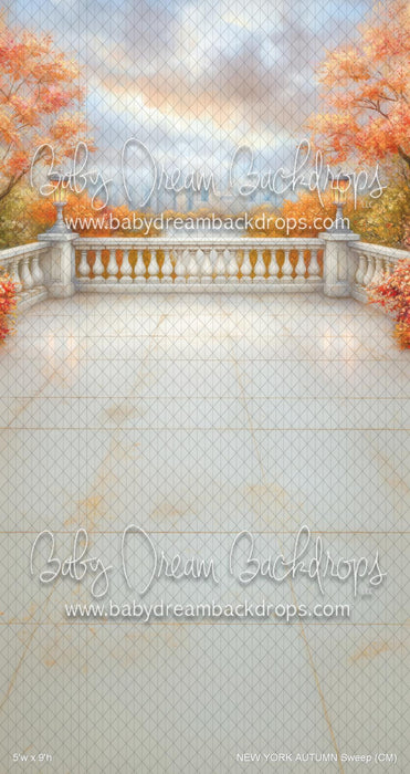 NEW YORK AUTUMN Sweep (CM)