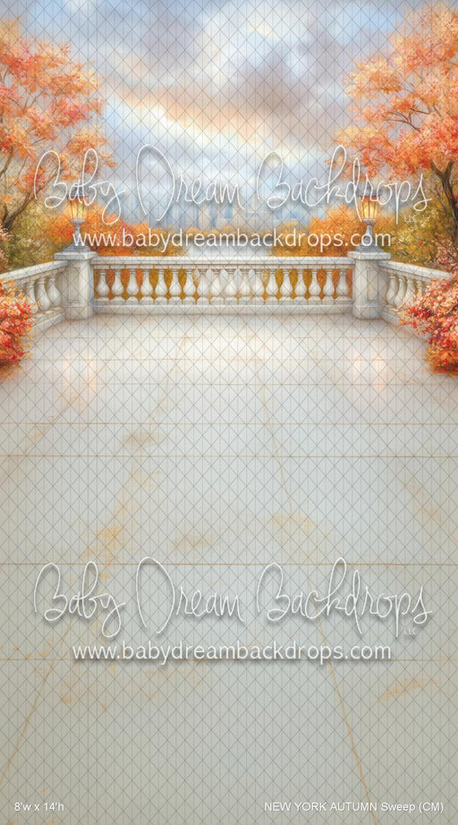 NEW YORK AUTUMN Sweep (CM)