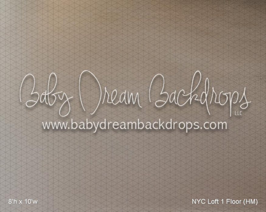 NYC Loft 1 Floor (HM)