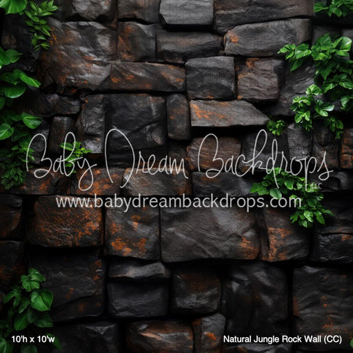 Natural Jungle Rock Wall (CC)