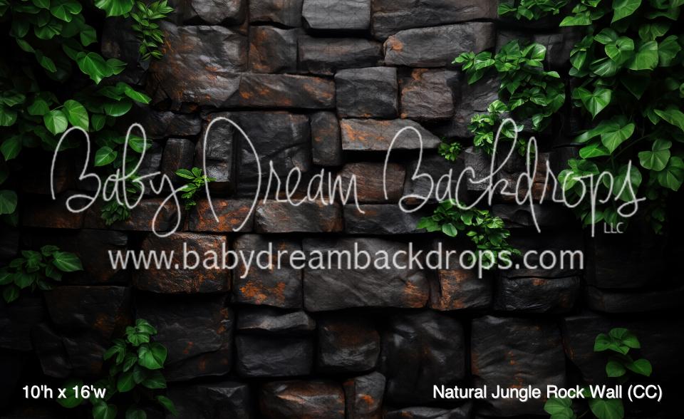 Natural Jungle Rock Wall (CC)