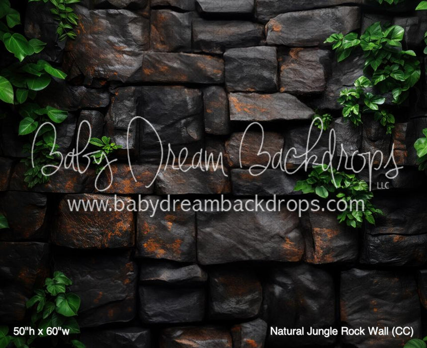 Natural Jungle Rock Wall (CC)