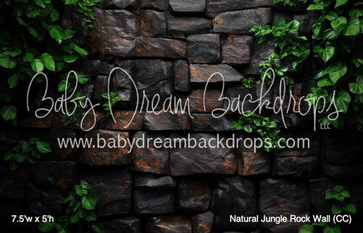 Natural Jungle Rock Wall (CC)