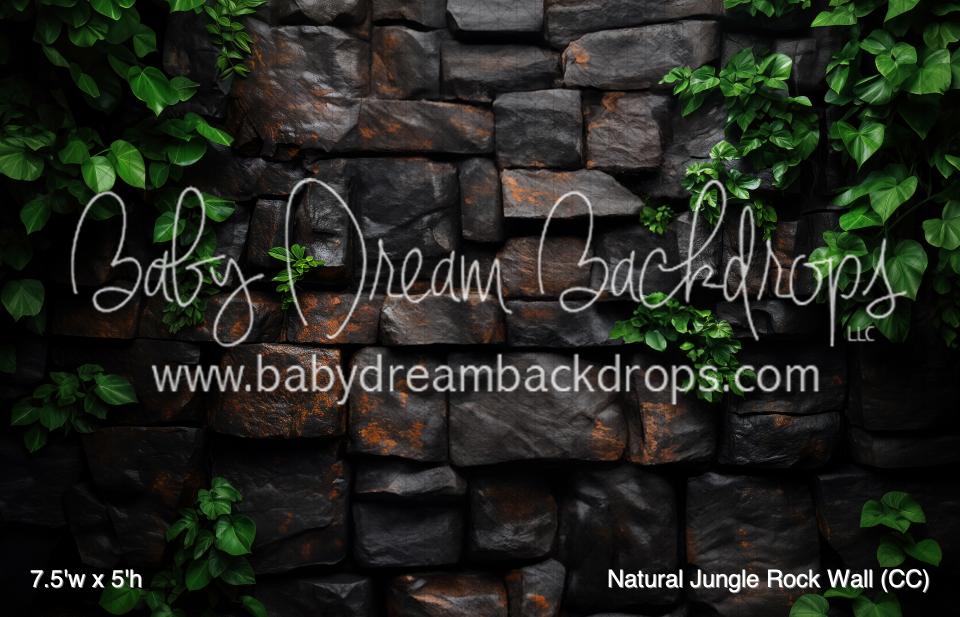 Natural Jungle Rock Wall (CC)
