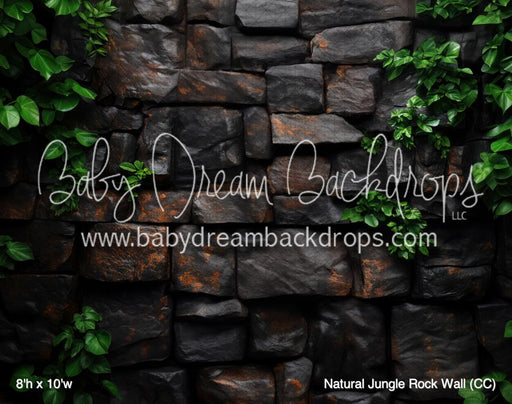 Natural Jungle Rock Wall (CC)