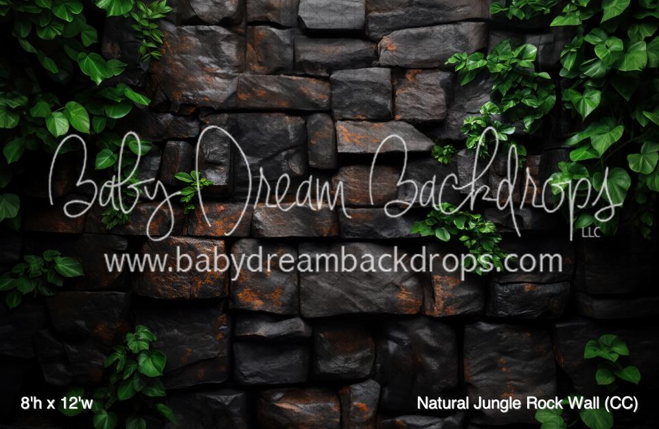 Natural Jungle Rock Wall (CC)