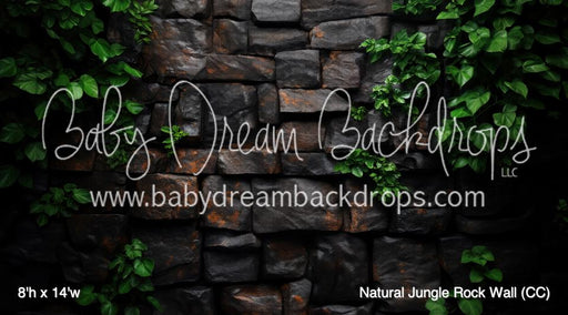Natural Jungle Rock Wall (CC)