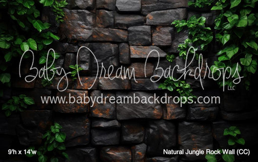Natural Jungle Rock Wall (CC)