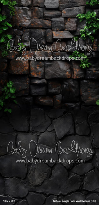 Natural Jungle Rock Wall Sweeps (CC)