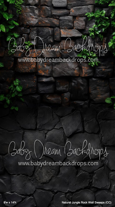 Natural Jungle Rock Wall Sweeps (CC)