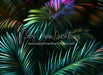 Neon Palms Bottom (JA)