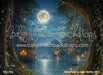 Neverland by Julie Mettler (BD)