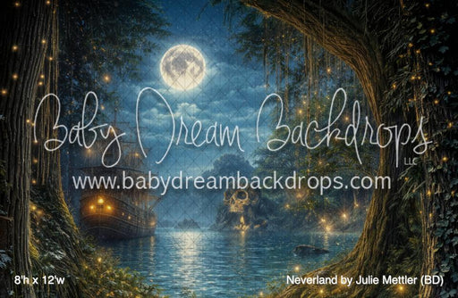 Neverland by Julie Mettler (BD)