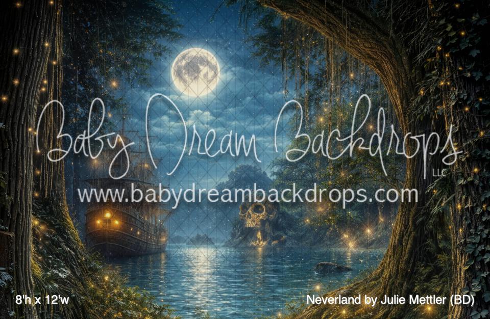 Neverland by Julie Mettler (BD)