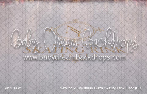 New York Christmas Plaza Skating Rink Fabric Floor (BD)