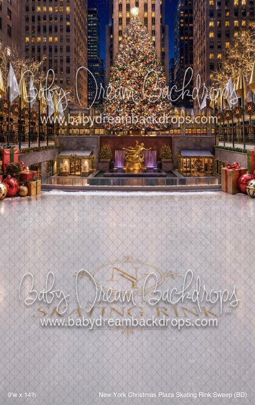 New York Christmas Plaza Skating Rink Sweep (BD)