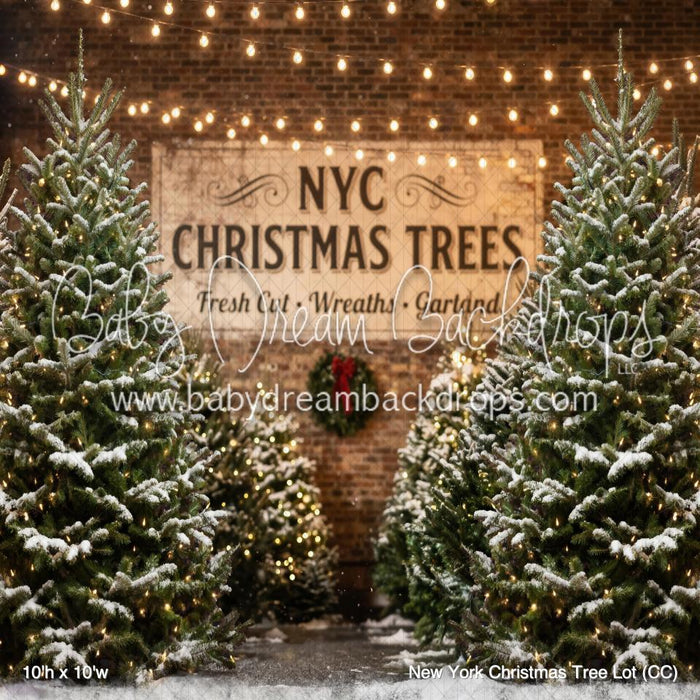 New York Christmas Tree Lot (CC)