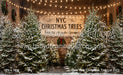 New York Christmas Tree Lot (CC)