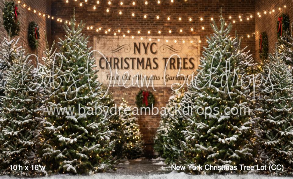 New York Christmas Tree Lot (CC)