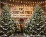 New York Christmas Tree Lot (CC)