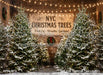 New York Christmas Tree Lot (CC)