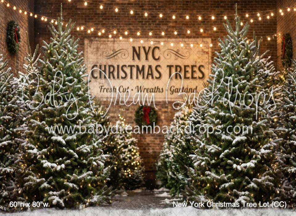 New York Christmas Tree Lot (CC)