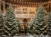 New York Christmas Tree Lot (CC)