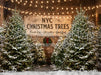 New York Christmas Tree Lot (CC)
