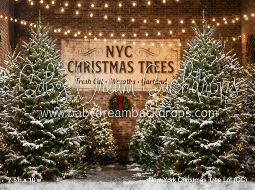 New York Christmas Tree Lot (CC)