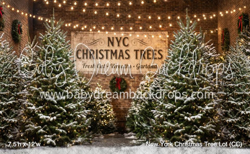 New York Christmas Tree Lot (CC)