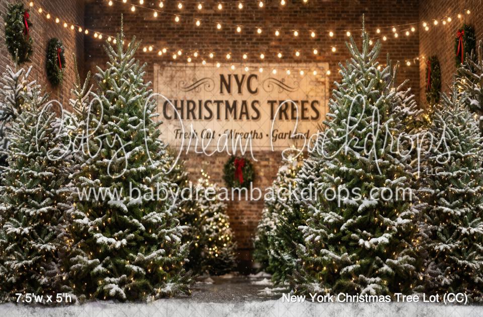New York Christmas Tree Lot (CC)
