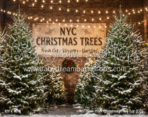 New York Christmas Tree Lot (CC)