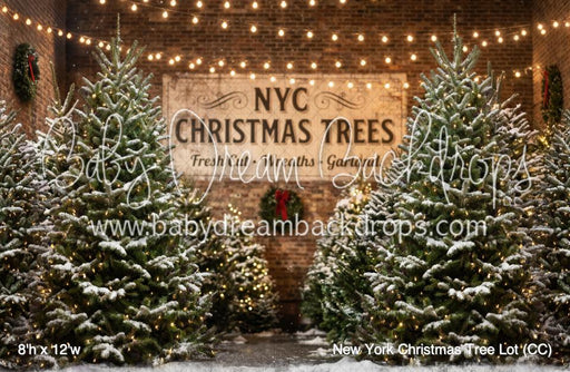 New York Christmas Tree Lot (CC)