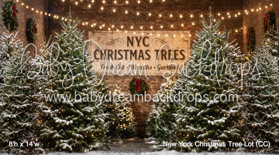 New York Christmas Tree Lot (CC)