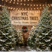 New York Christmas Tree Lot (CC)