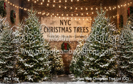 New York Christmas Tree Lot (CC)